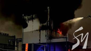 � ����� ����� ����������������